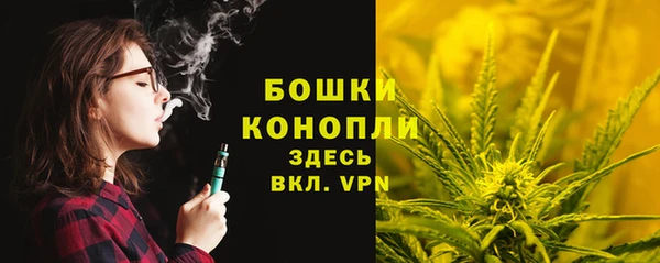 spice Алексин