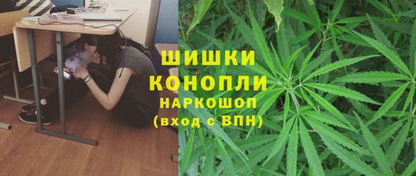 прущая мука Алзамай